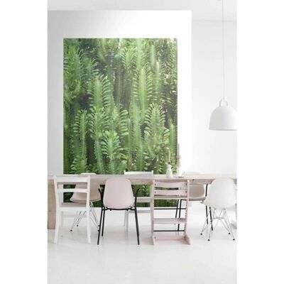 ESTAhome Carta Da Parato Tropical Jungle Cactus - Ecologico, 1,86x2,79 m ESTAhome Carta Da Parato Tropical Jungle Cactus - Ecologico, 1,86x2,79 m
