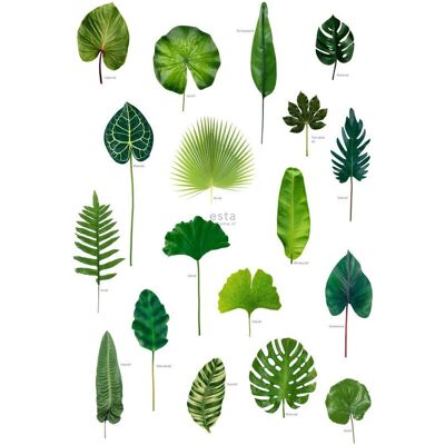 Carta da parati foglie di giungla tropicale ESTAhome - 200 x 279 cm - Ecologico Carta da parati foglie di giungla tropicale ESTAhome - 200 x 279 cm - Ecologico