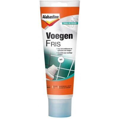 Alabastine Alabastine Lichtgrijs Voegrestaurator - 0,22L Alabastine Alabastine Lichtgrijs Voegrestaurator - 0,22L
