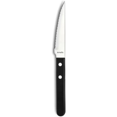 Ensemble de Couteaux Amefa Saha Acier 12 Pièces - Couteaux de Cuisine Ensemble de Couteaux Amefa Saha Acier 12 Pièces - Couteaux de Cuisine