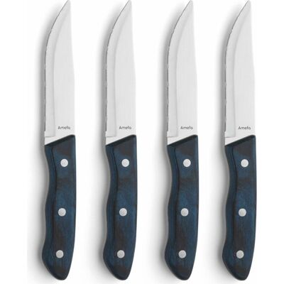 Amefa Hercules 4-delig steakmes set - RVS Amefa Hercules 4-delig steakmes set - RVS