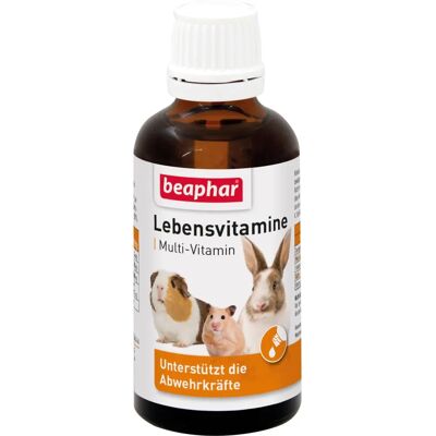 Vitamines Beaphar pour Petits Mammifères - Gouttes avec Vitamines B C E K - 50ML - Publicité Vitamines Beaphar pour Petits Mammifères - Gouttes avec Vitamines B C E K - 50ML - Publicité