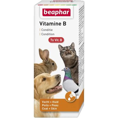 Beaphar Vitamine B-Complexe - 50ml - Soutien Immunitaire et Nerveux - Complément Alimentaire Animal - Publicité Beaphar Vitamine B-Complexe - 50ml - Soutien Immunitaire et Nerveux - Complément Alimentaire Animal - Publicité