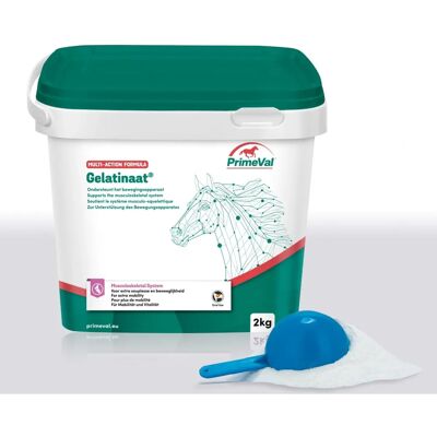 Beaphar PrimeVal Gelatinaat Horse 2kg - Joint Support Supplement Beaphar PrimeVal Gelatinaat Horse 2kg - Joint Support Supplement