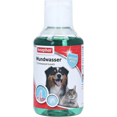 Beaphar Líquido de Cuidados Orales para Cães e Gatos - Higiene Dental e Alento Fresco Beaphar Líquido de Cuidados Orales para Cães e Gatos - Higiene Dental e Alento Fresco