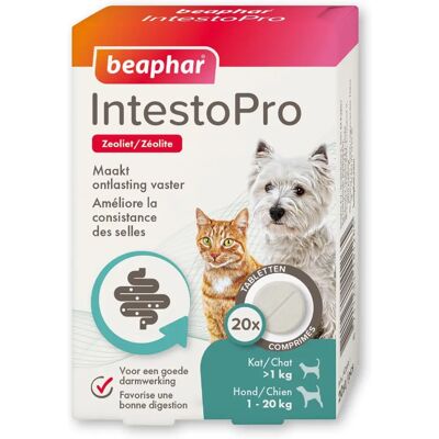 Beaphar Intestopro Comprimés Pour Chien Et Chat 2 X 20 Comprimés - Publicité Beaphar Intestopro Comprimés Pour Chien Et Chat 2 X 20 Comprimés - Publicité