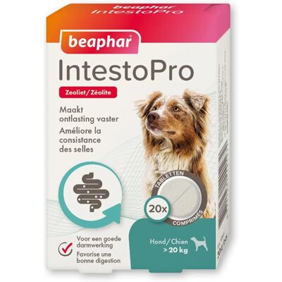 Comprimés Beaphar IntestoPro pour chiens >20 kg (20 pcs) - Publicité Comprimés Beaphar IntestoPro pour chiens >20 kg (20 pcs) - Publicité