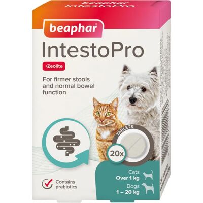 Beaphar Intestopro Régulateur intestinal - Chiens & Chats petits - Publicité Beaphar Intestopro Régulateur intestinal - Chiens & Chats petits - Publicité