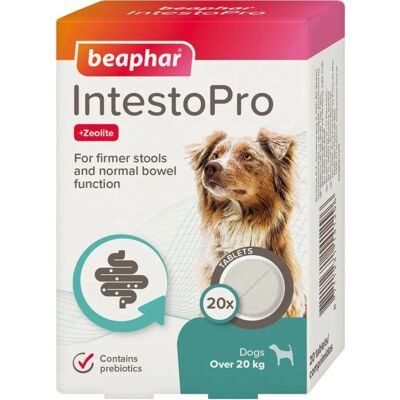 Beaphar IntestoPro L Supplément pour chiens - Santé intestinale - Publicité Beaphar IntestoPro L Supplément pour chiens - Santé intestinale - Publicité