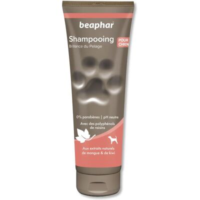 Shampoing Chien Beaphar - Mangue & Kiwi 250ml - Shampooing pour chiens Shampoing Chien Beaphar - Mangue & Kiwi 250ml - Shampooing pour chiens