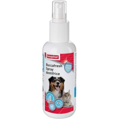Spray Dentaire Buccafresh Beaphar - Soins Orales pour Animaux - Publicité Spray Dentaire Buccafresh Beaphar - Soins Orales pour Animaux - Publicité