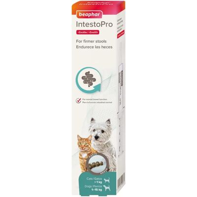 Beaphar Intestopro Pâte Régulatrice Intestinale pour Chiens et Chats 20 ml - Publicité Beaphar Intestopro Pâte Régulatrice Intestinale pour Chiens et Chats 20 ml - Publicité