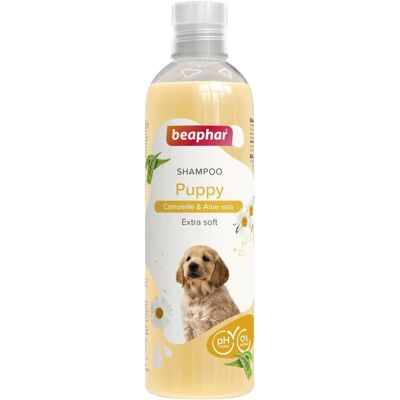 Shampoo Beaphar para filhotes - Camomila & Aloe Vera - Pele sensível Shampoo Beaphar para filhotes - Camomila & Aloe Vera - Pele sensível