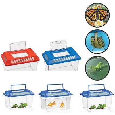 Lifetime Insektenkasten - Verschiedene Designs, 1,8L, Blau/Rot/Transparent Lifetime Insektenkasten - Verschiedene Designs, 1,8L, Blau/Rot/Transparent