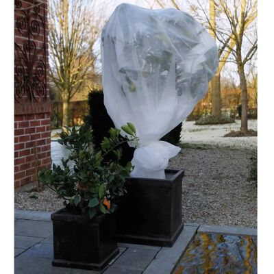 VidaXL Nature Antifrost Fleece Hülle 30 g/m² Weiß 2x5 m - Pflanzenschutz VidaXL Nature Antifrost Fleece Hülle 30 g/m² Weiß 2x5 m - Pflanzenschutz