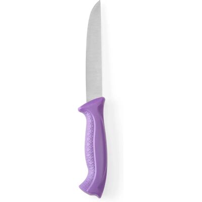 Couteau de Cuisine Hendi 842478 - Manche Violet - Lame 15cm - Acier Inoxydable Couteau de Cuisine Hendi 842478 - Manche Violet - Lame 15cm - Acier Inoxydable