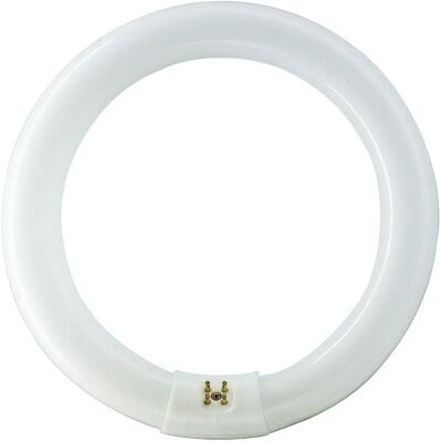 Philips 928026384074 Kühle weiß 32W G10q Leuchtstofflampe - Leuchtstofflampe Philips 928026384074 Kühle weiß 32W G10q Leuchtstofflampe - Leuchtstofflampe