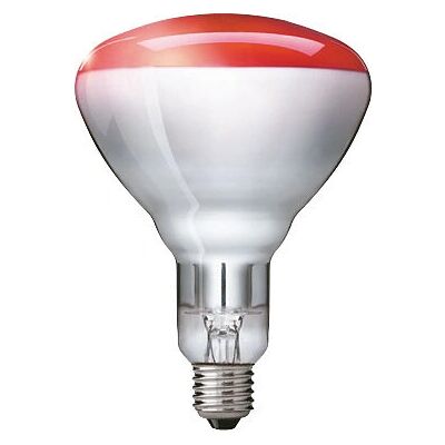 Philips IR 250RH BR125 E27 Philips IR 250RH BR125 E27