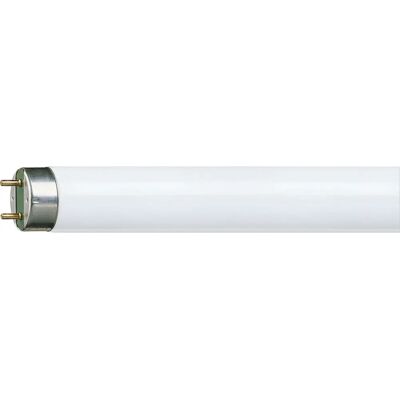 Philips TL-D 32W/840/HF - Lampe fluorescente - Publicité Philips TL-D 32W/840/HF - Lampe fluorescente - Publicité