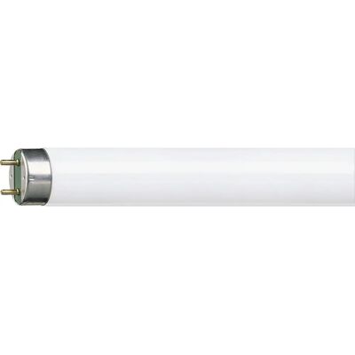 Philips Energiesparlampe - 36W Warmweiß G13 Philips Energiesparlampe - 36W Warmweiß G13