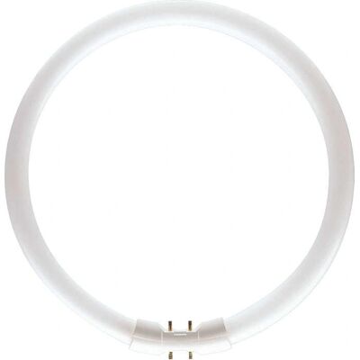 Philips Master TL5 Runder Leuchtstofflampe - 22W Warmweiß Philips Master TL5 Runder Leuchtstofflampe - 22W Warmweiß