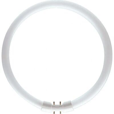 Philips Master LED TL5 Kreisförmig 60W/840 - Kaltweiß - Leuchtstofflampe Philips Master LED TL5 Kreisförmig 60W/840 - Kaltweiß - Leuchtstofflampe