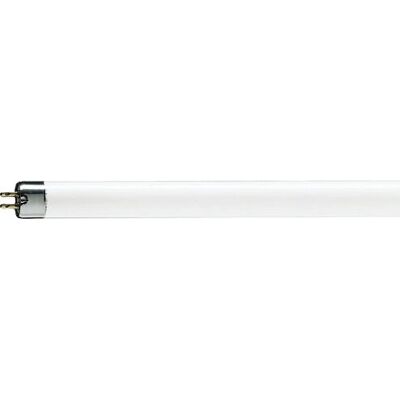 Philips 70473327 Ampoule fluorescente G5 Blanc froid - Publicité Philips 70473327 Ampoule fluorescente G5 Blanc froid - Publicité