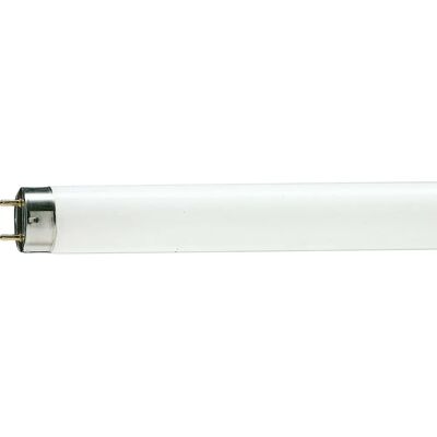 Philips Master TL-D 90 Graphica Ampoule fluorescente - Lumière du jour 18W G13 Philips Master TL-D 90 Graphica Ampoule fluorescente - Lumière du jour 18W G13
