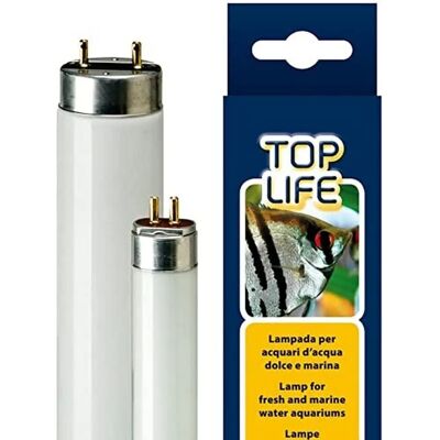 FERPLAST Toplife Lampada al neon per acquari - 8W T5, Bianco FERPLAST Toplife Lampada al neon per acquari - 8W T5, Bianco