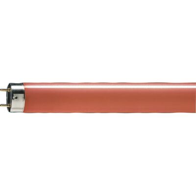 Philips TL-D 58W Rød Lysstofrør - Fluorescent bulb Philips TL-D 58W Rød Lysstofrør - Fluorescent bulb