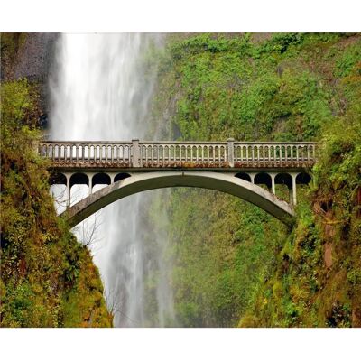 Sanders & Sanders Wasserfall Grün Grau Wandbild - 360x270cm Sanders & Sanders Wasserfall Grün Grau Wandbild - 360x270cm