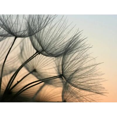 Sanders & Sanders - Flores Beige y Gris - 360 x 270 cm - Wall Mural Sanders & Sanders - Flores Beige y Gris - 360 x 270 cm - Wall Mural