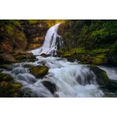 Sanders & Sanders Cascada Grün, Weiß & Braun - Fototapete 3,6x2,7m Sanders & Sanders Cascada Grün, Weiß & Braun - Fototapete 3,6x2,7m
