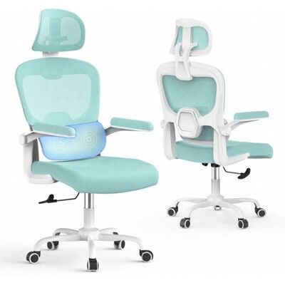BIGZZIA - Office Chair - Vert - Accoudoirs - Chair - Publicité BIGZZIA - Office Chair - Vert - Accoudoirs - Chair - Publicité