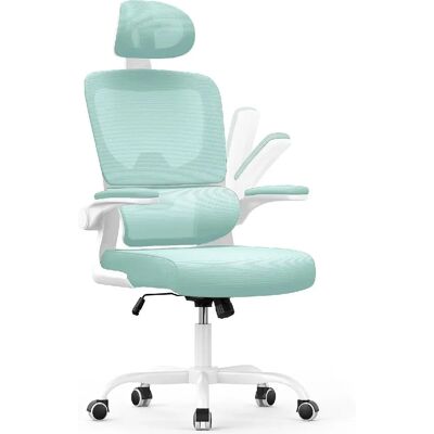 Bigzzia - Ergonomic Lumbar Chair - Headrest Adjustable - Office Chair Bigzzia - Ergonomic Lumbar Chair - Headrest Adjustable - Office Chair