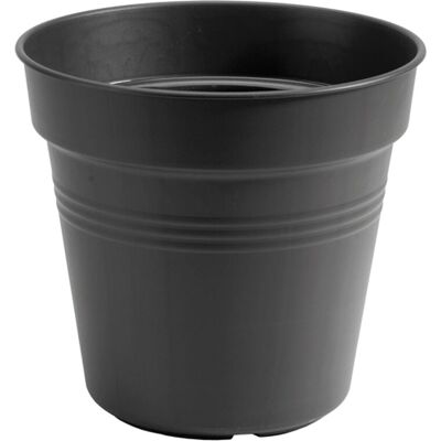 Elho Green Basics Growpot - Pot de 11cm pour intérieur/extérieur - Noir - Publicité Elho Green Basics Growpot - Pot de 11cm pour intérieur/extérieur - Noir - Publicité