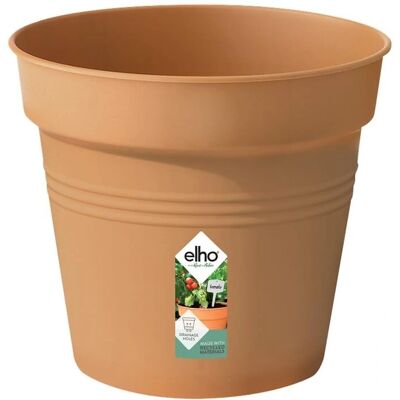 Elho Pot de Plantes Green Basics 15 x 14 cm - Plante - Publicité Elho Pot de Plantes Green Basics 15 x 14 cm - Plante - Publicité