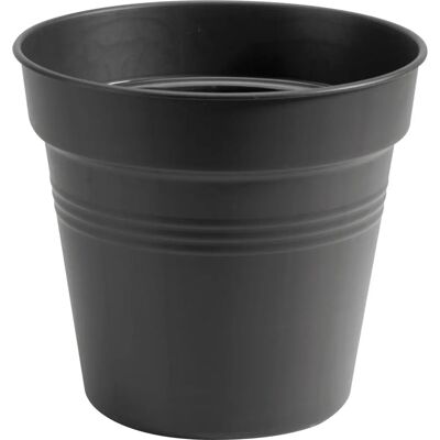 Elho Green Basics 27cm Pot de Fleurs - Intérieur/Extérieur - Publicité Elho Green Basics 27cm Pot de Fleurs - Intérieur/Extérieur - Publicité