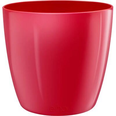 Pot de fleurs en plastique rouge elu pour intérieur - Publicité Pot de fleurs en plastique rouge elu pour intérieur - Publicité