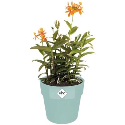 Elho Mint Round Flower Pot - 2.9L Garden Container Elho Mint Round Flower Pot - 2.9L Garden Container