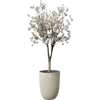 Elho 3205304045700 Pot de Fleur - Extérieur Autonome Plastique Beige - Publicité Elho 3205304045700 Pot de Fleur - Extérieur Autonome Plastique Beige - Publicité