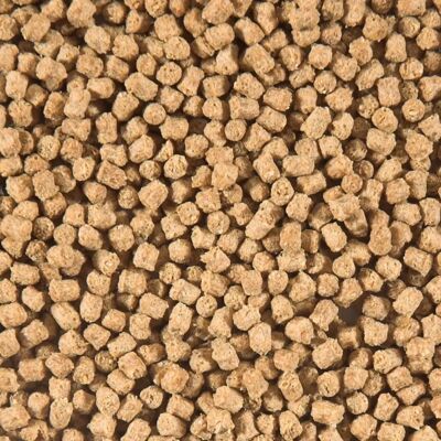 Sanikoi Winter Wheat Germ - Nourriture pour poissons koi - 1800g Sanikoi Winter Wheat Germ - Nourriture pour poissons koi - 1800g