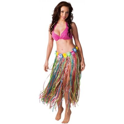 Boland 52402 Déguisement Jupe Hawaïenne Multicolore Boland 52402 Déguisement Jupe Hawaïenne Multicolore