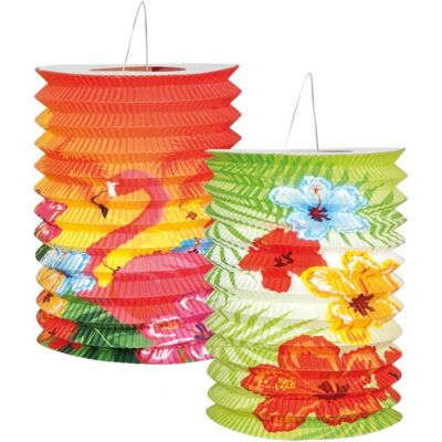 Boland 52508 Lanterne en Papier - Set de 2 Lanternes Hawaii - Publicité Boland 52508 Lanterne en Papier - Set de 2 Lanternes Hawaii - Publicité