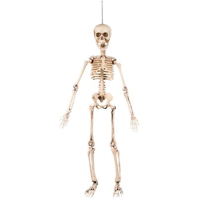 Boland 72037 Dekorativní Lebka Figurína - 50cm - Halloween, Noční Můra Boland 72037 Dekorativní Lebka Figurína - 50cm - Halloween, Noční Můra
