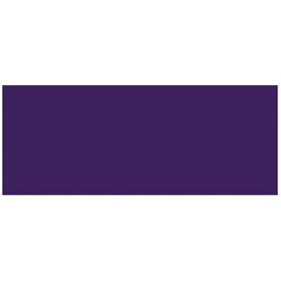 Amsterdam Expert - Acrylique - Violet permanent - Peinture - Publicité Amsterdam Expert - Acrylique - Violet permanent - Peinture - Publicité
