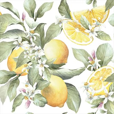 Ambiente Fruit Citron 20 Pack Serviettes - Vaisselle - Publicité Ambiente Fruit Citron 20 Pack Serviettes - Vaisselle - Publicité