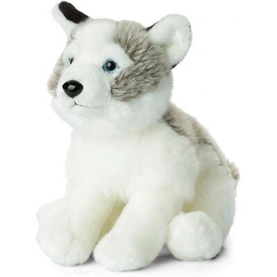 Pluszowa figurka Husky WWF 23cm - Kolekcja Zwierząt Pluszowa figurka Husky WWF 23cm - Kolekcja Zwierząt
