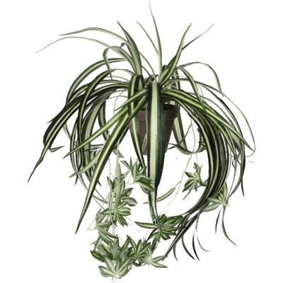 Mica Decorations Künstliche Chlorophytum Grün in Topf - 45x45 cm Mica Decorations Künstliche Chlorophytum Grün in Topf - 45x45 cm