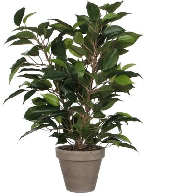 Wohnaccessoire Ficus Künstliche Pflanze 40x30cm Keramik PVC - Dekoratives Pflanze Wohnaccessoire Ficus Künstliche Pflanze 40x30cm Keramik PVC - Dekoratives Pflanze
